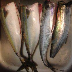 ハマツーのちサゴツー