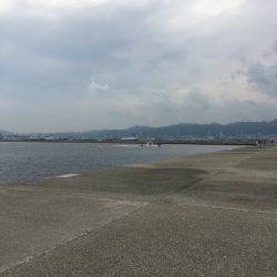 ワインドで良型ゲット