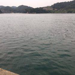 ショアジギング