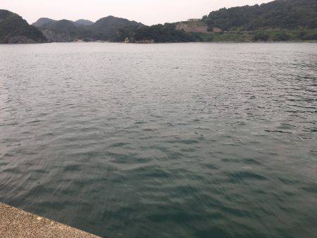 ショアジギング