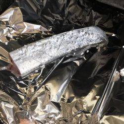 ツバス(48cm)タチウオ