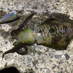 1泊2日の釣行 1日目