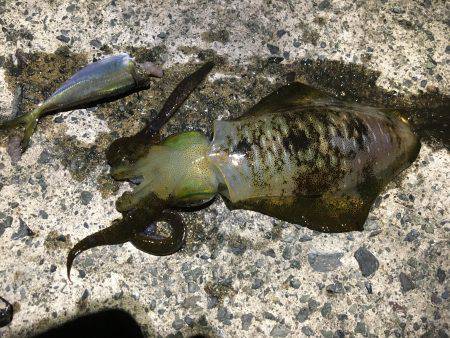 1泊2日の釣行 1日目