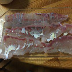 アジ、カンパチ