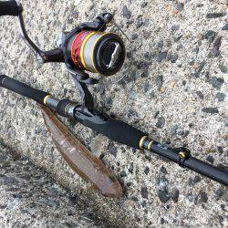 ツバスからのエソ祭り