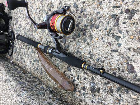 ツバスからのエソ祭り