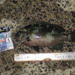 冨具崎港→師崎港