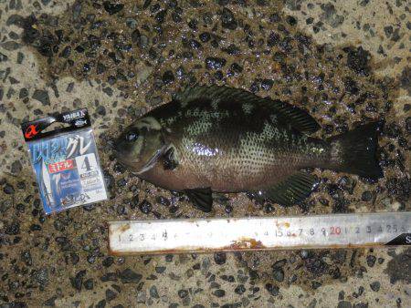 冨具崎港→師崎港