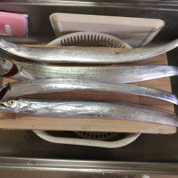 久しぶりの刀狩り