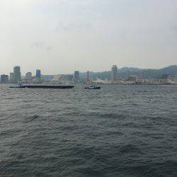 ポーアイ北公園、昼からでも青物！