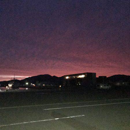 新子さんいらっしゃい♪