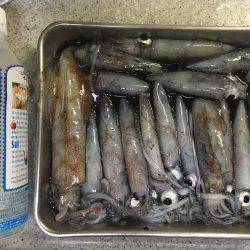 もうチョットイケそう