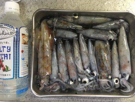 もうチョットイケそう