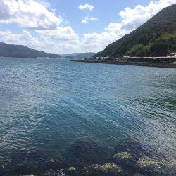 メタルマル爆釣