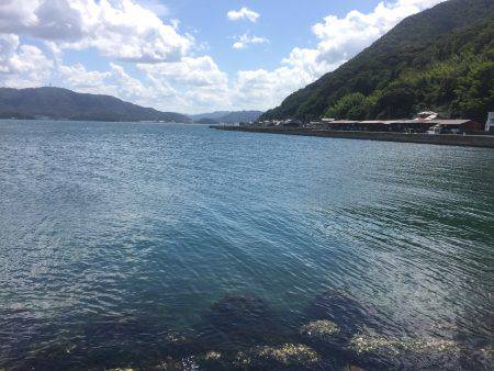 メタルマル爆釣