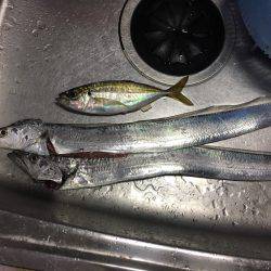 急に渋くなりました