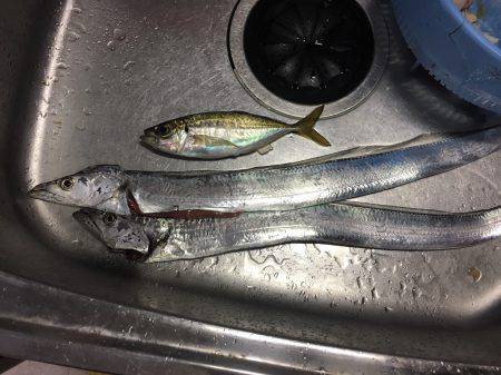 急に渋くなりました