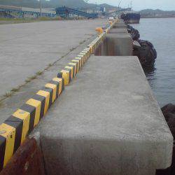 小アジ、小サバちょっと戻ってきた！