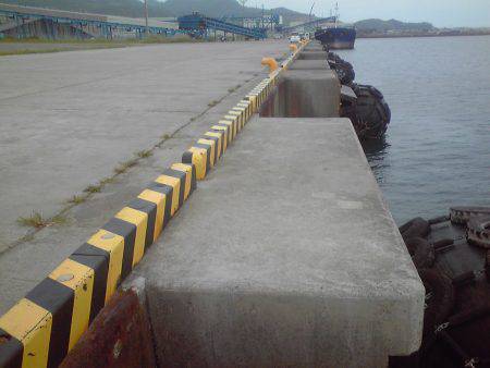 小アジ、小サバちょっと戻ってきた！