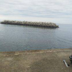 色々釣れましたが・・・小さくて・・・