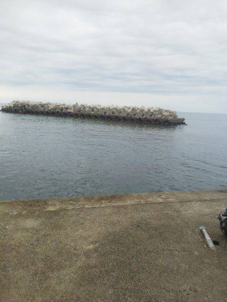 色々釣れましたが・・・小さくて・・・