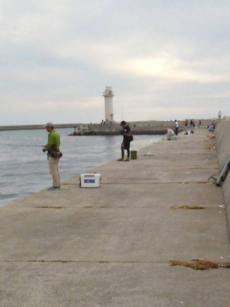 太刀魚ゲット・・・・・