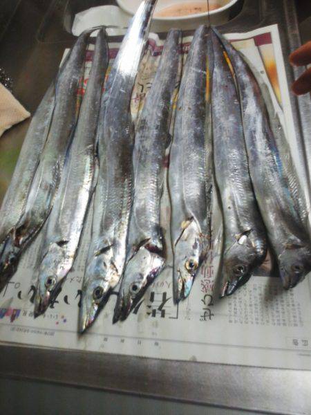 太刀魚ゲット・・・・・