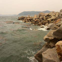 台風後エギング