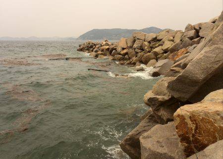 台風後エギング