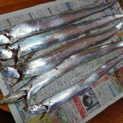 タチウオ釣行　９月編