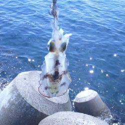 ハイプレッシャーの中ぽつりぽつり