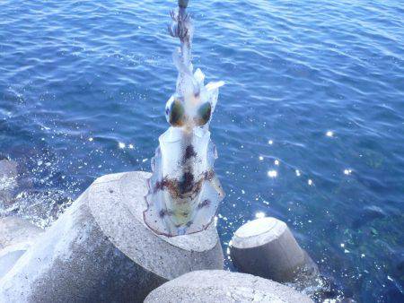 ハイプレッシャーの中ぽつりぽつり