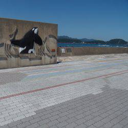 小アジ入れ食い！