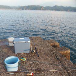 遠投サビキで小アジ３０匹