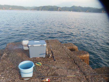 遠投サビキで小アジ３０匹