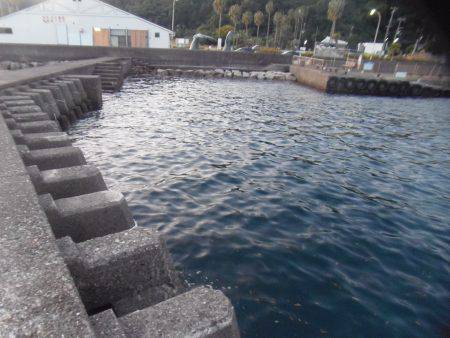 小アジ６１匹、シマアジ3匹