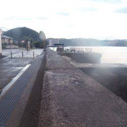 シマアジ爆釣り１０５匹