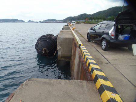 新宮港は小サバ、イワシのみ