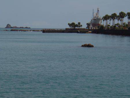 シマアジ25センチ