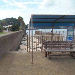 クロホシフエダイ２５センチ