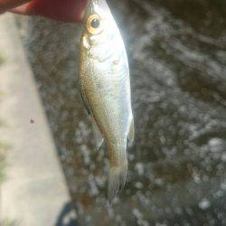 休憩時間にエントリー