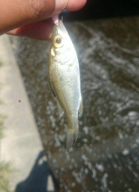 休憩時間にエントリー