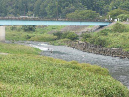 狩野川(狩野川漁業協同組合) 釣果