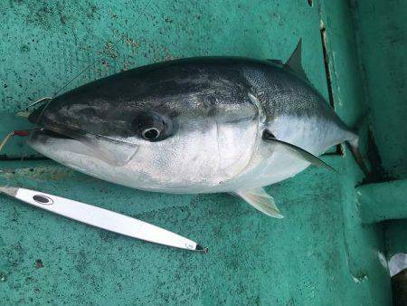 広進丸 釣果