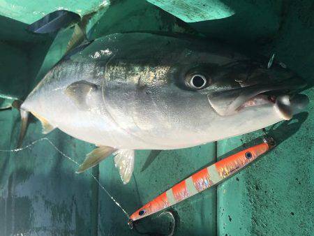 広進丸 釣果