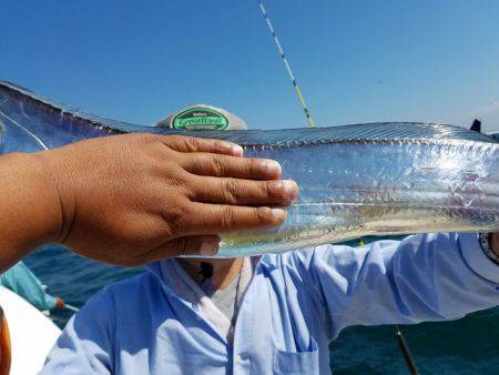 遊漁船　ニライカナイ 釣果