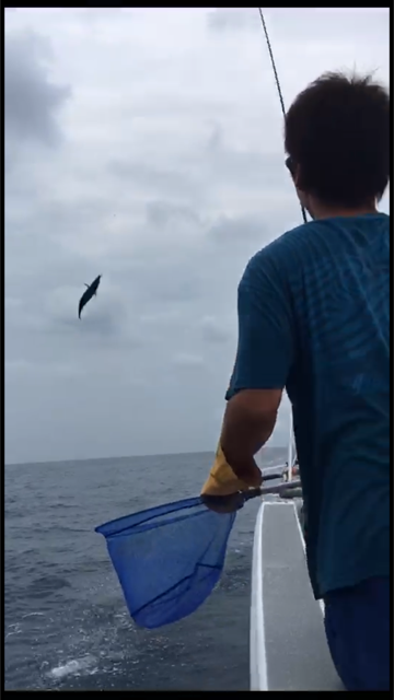 へいみつ丸 釣果