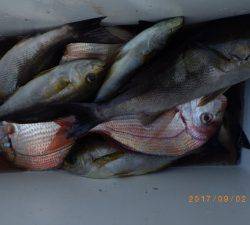 石川丸 釣果