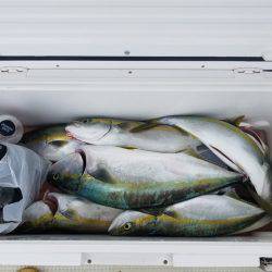 遊漁船　ニライカナイ 釣果