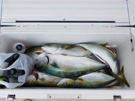 遊漁船　ニライカナイ 釣果